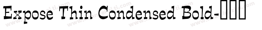 Expose Thin Condensed Bold字体转换